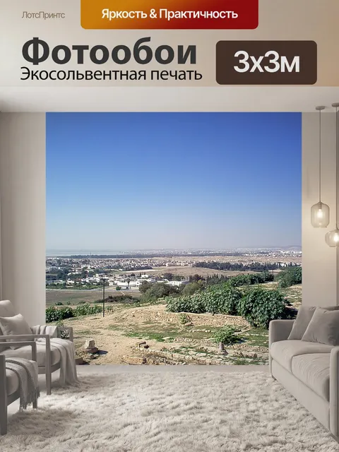 Фотообои Карфаген