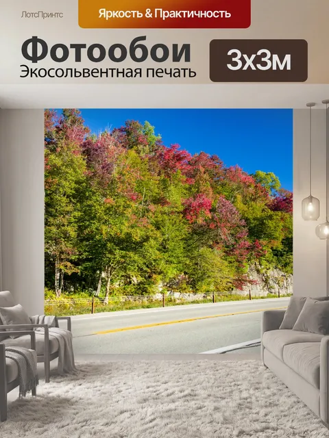 Фотообои Дорожные и осенние деревья