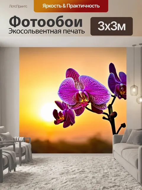 Фотообои орхидеи на фоне вечернего заката
