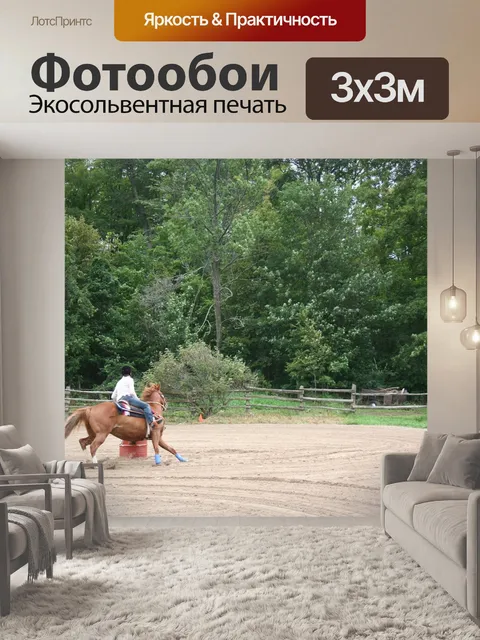 Фотообои Лошадь
