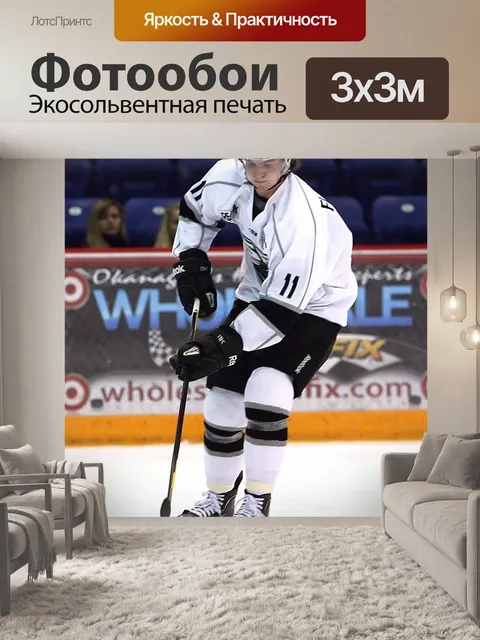 Фотообои Хоккей