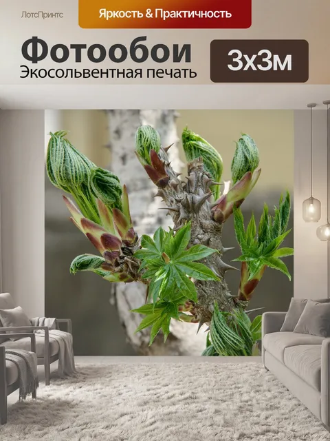 Фотообои Весна