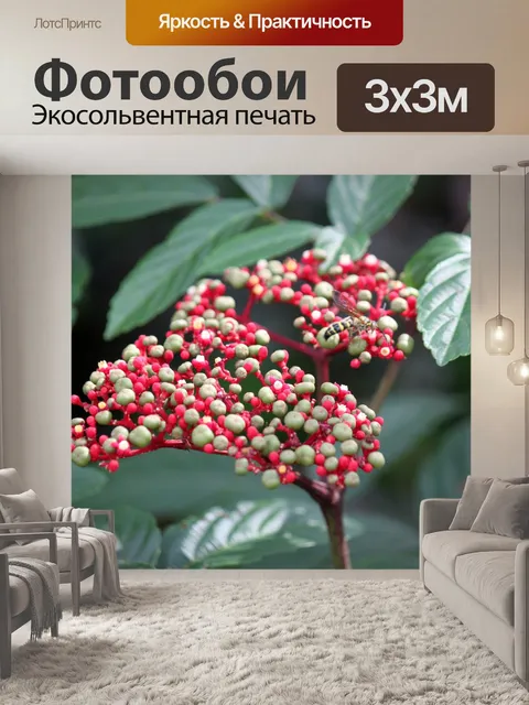 Фотообои Красный бутон цветок закрыть