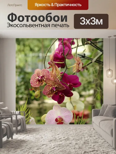 Фотообои Орхидея