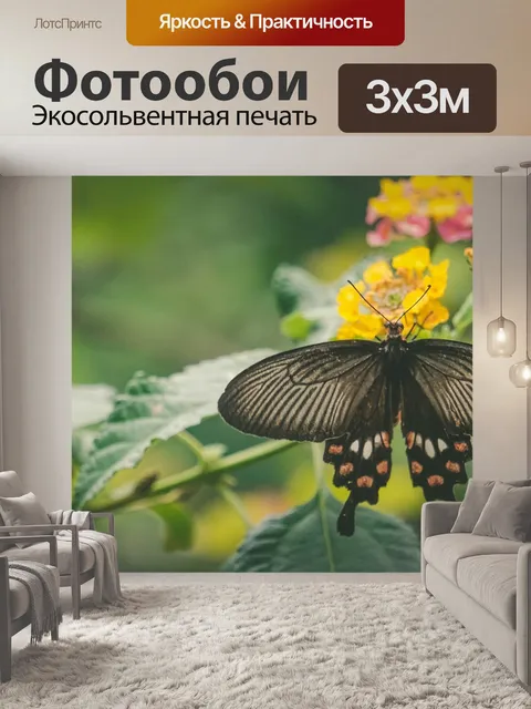 Фотообои Сезон дождей