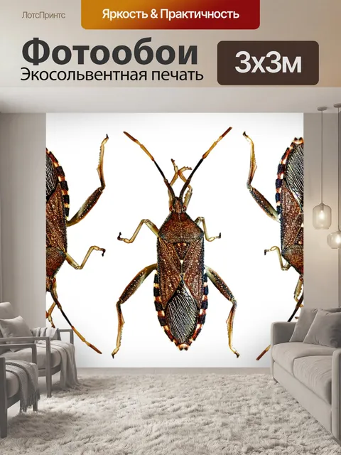 Фотообои Насекомые
