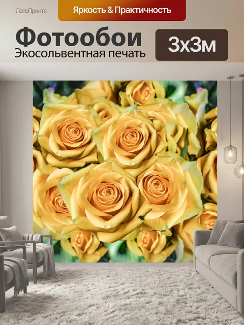Фотообои розы, цветы, лепесток, любовь,