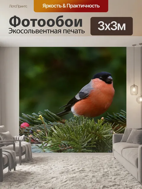Фотообои Птица
