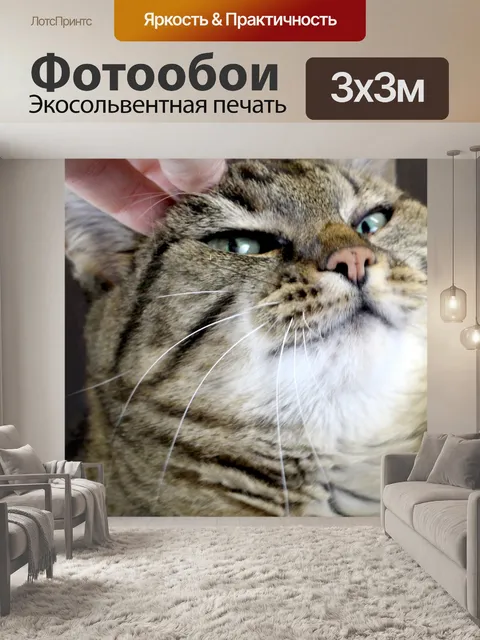 Фотообои Царапин Cat глава
