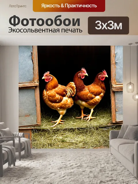 Фотообои в стиле винтажной фотографии, курятник показан как место, где время словно остановилось