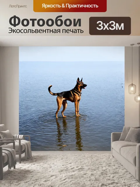 Фотообои у берегов спокойного озера