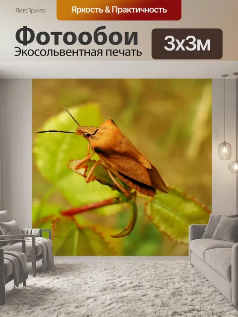 Фотообои Borczyniec фруктовый