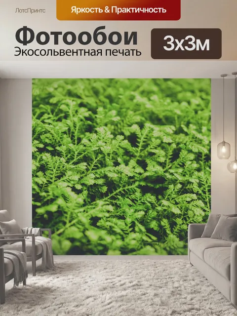 Фотообои листья папоротника зеленый фон