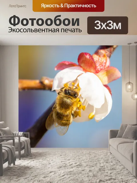Фотообои опыляющая пчела