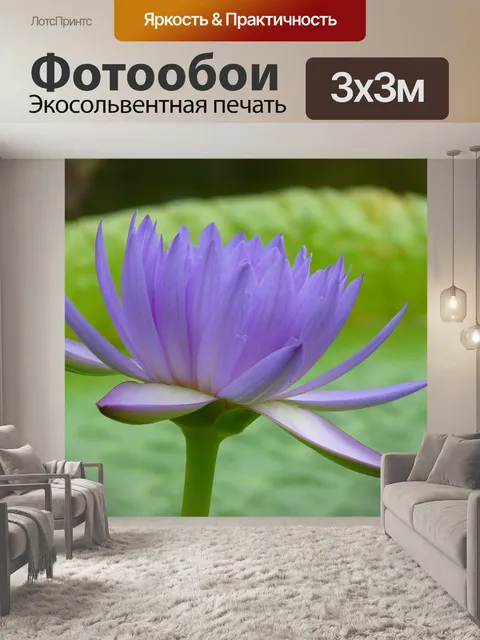 Фотообои Водяная лилия
