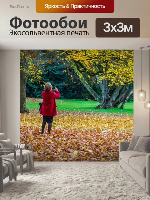 Фотообои Осень