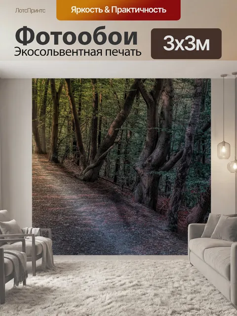 Фотообои Лесная тропа