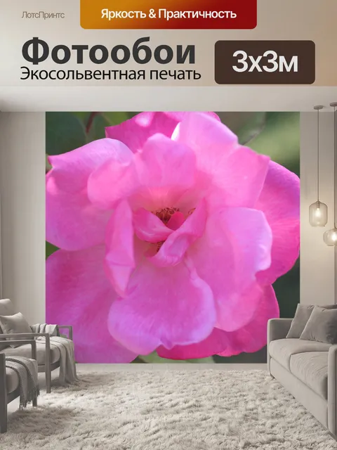 Фотообои розовый цветок
