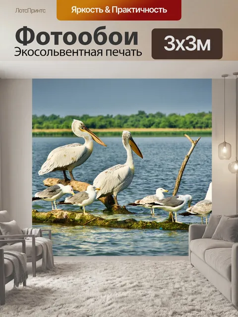 Фотообои Пеликаны