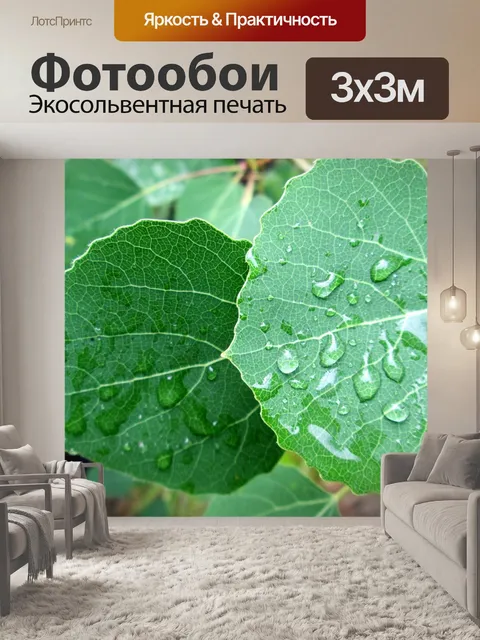 Фотообои Природа