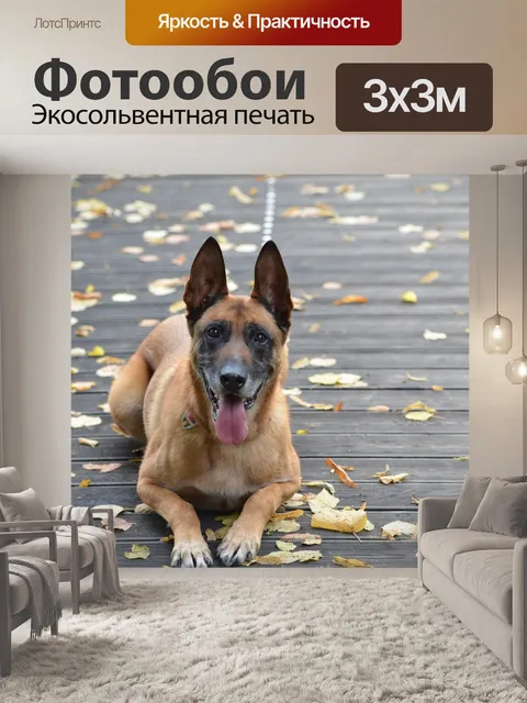 Фотообои Малинуа