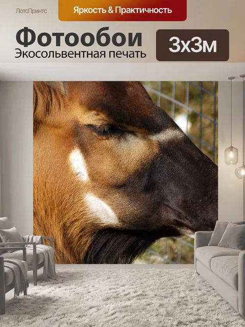 Фотообои Сафари