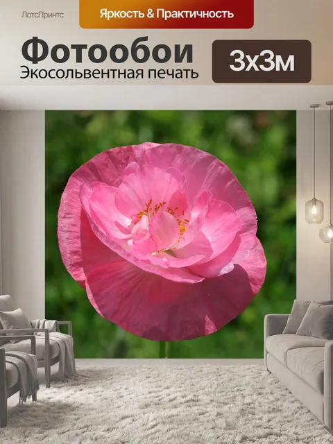 Фотообои Мак