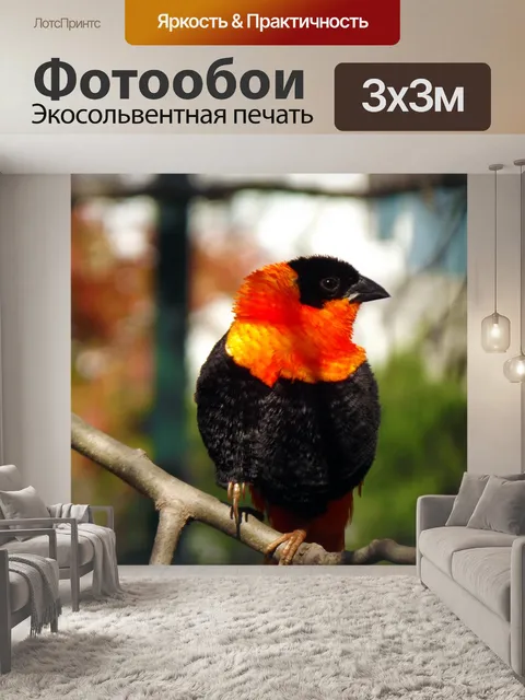 Фотообои Ткань