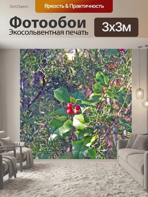 Фотообои Холли