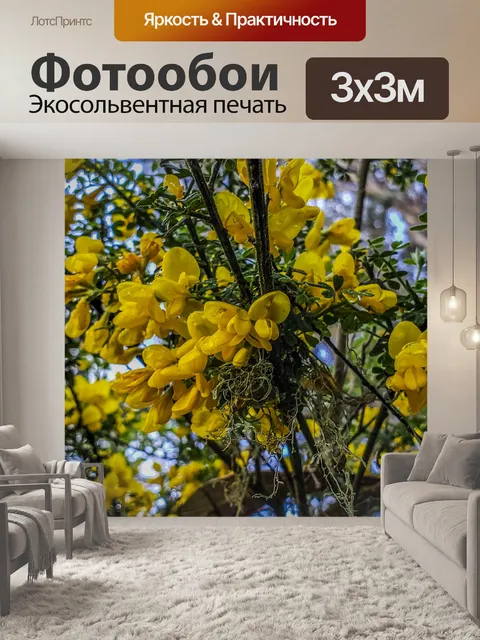 Фотообои Дерево в желтых цветах