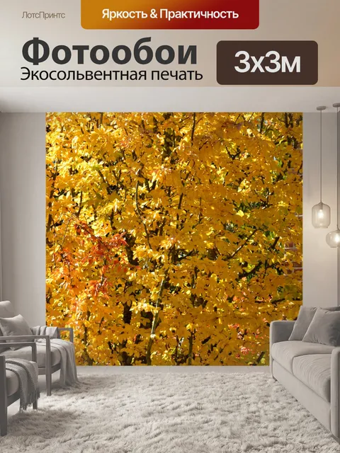 Фотообои Яркие желтые листья осени