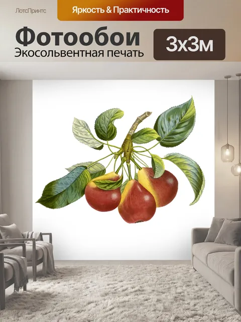 Фотообои Плоды груши винтажные