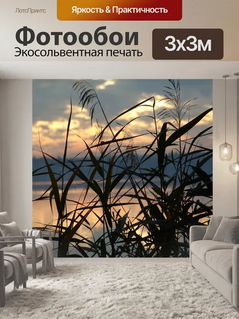 Фотообои Тростник