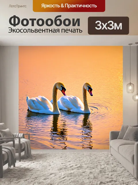Фотообои красивая пара лебедей на закате