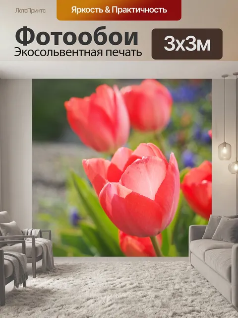Фотообои Тюльпан