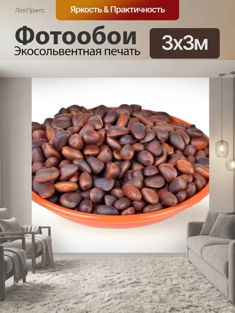 Фотообои кедровые орехи