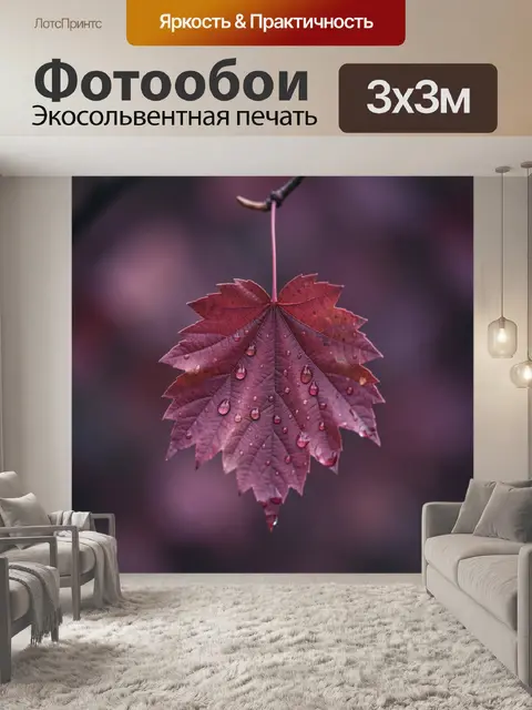 Фотообои Одинокий розово-бордовый кленовый лист с каплями дождя