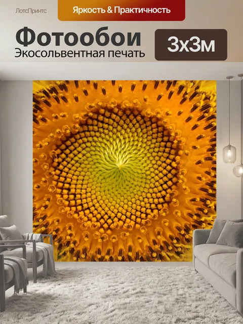 Фотообои Подсолнечник, желтый цветок, Helianthus