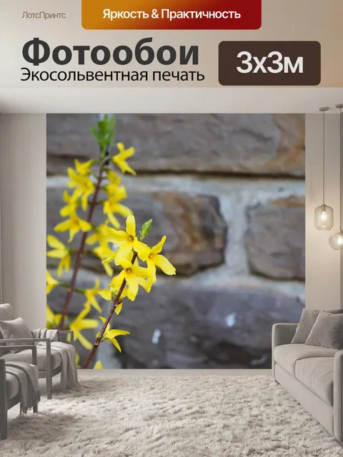 Фотообои Цветы