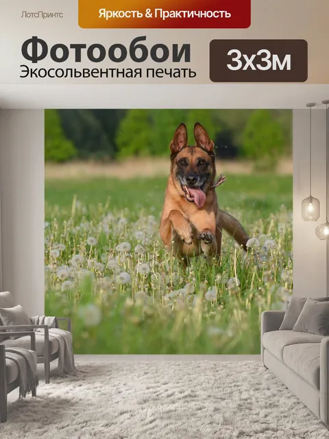 Фотообои Малинуа