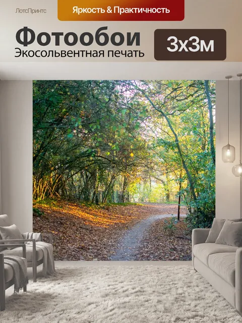 Фотообои Тащить