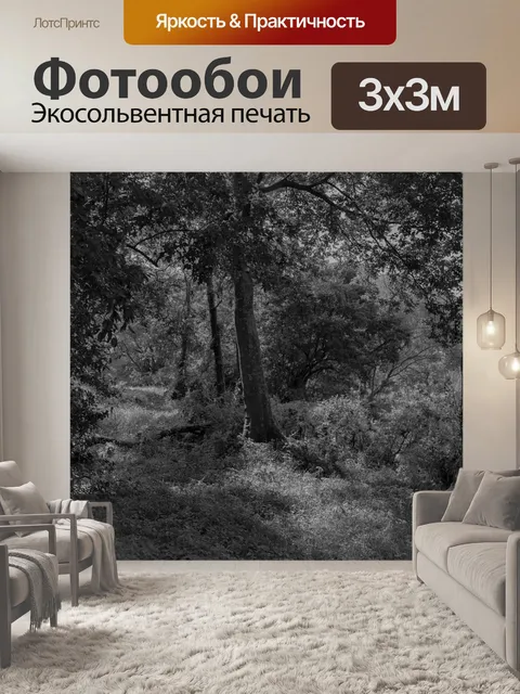 Фотообои Лес