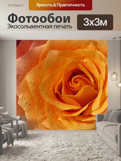 Фотообои Роза