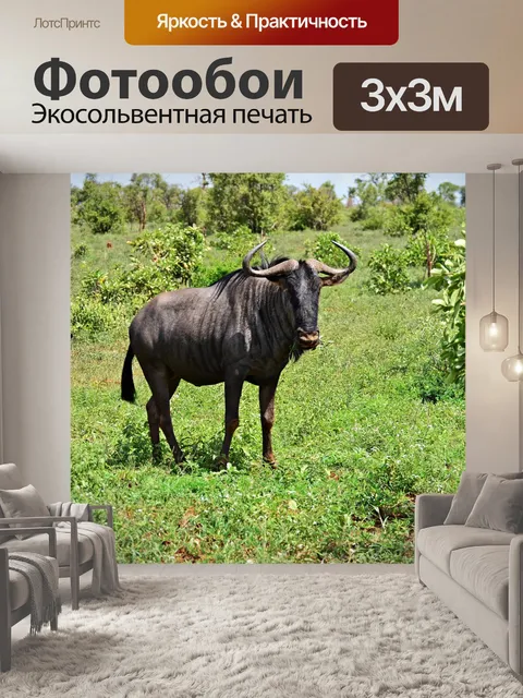 Фотообои Gnu