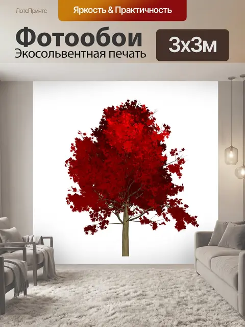 Фотообои Клен