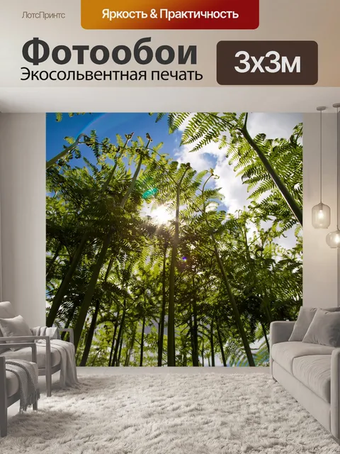 Фотообои папоротник