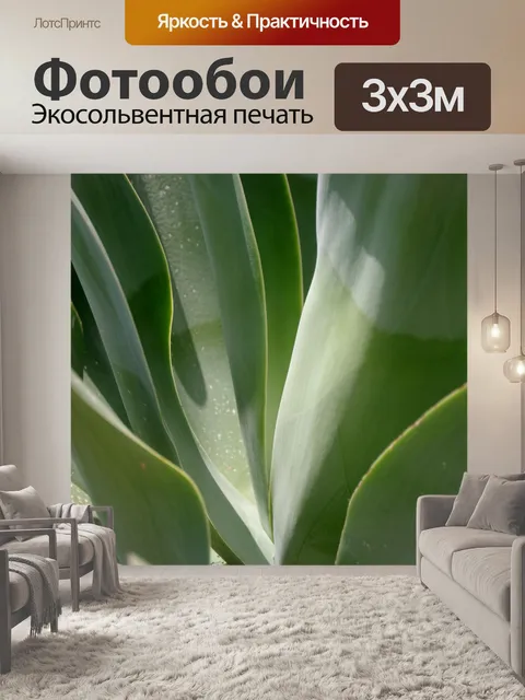Фотообои Алоэ вера оставляет фон