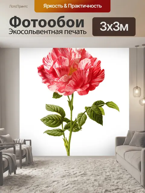 Фотообои Винтажный клипарт цветочная иллюстрация