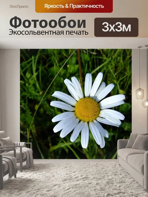 Фотообои Природа