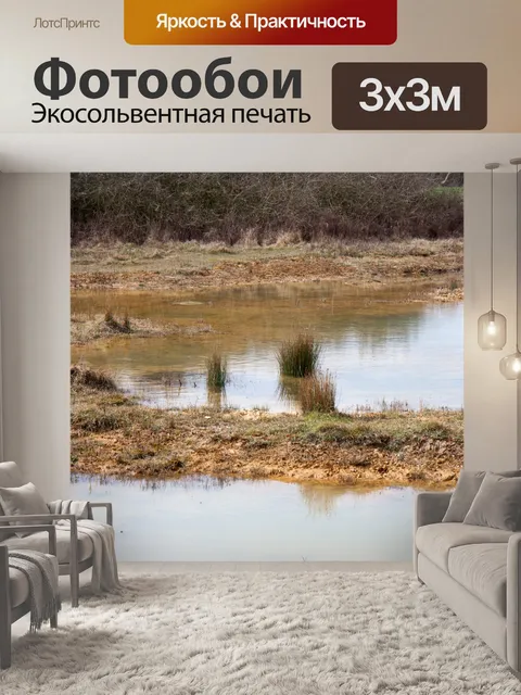 Фотообои Водно-болотные угодья
